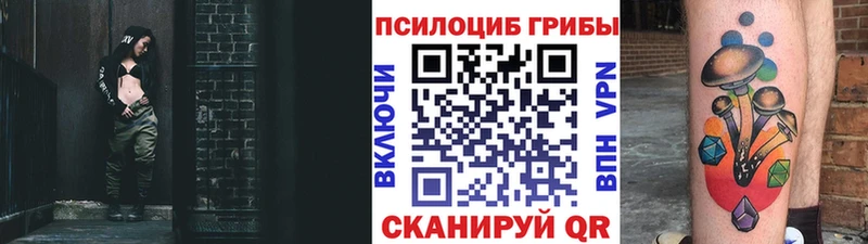 кракен вход  сколько стоит  Белокуриха  Галлюциногенные грибы Magic Shrooms 